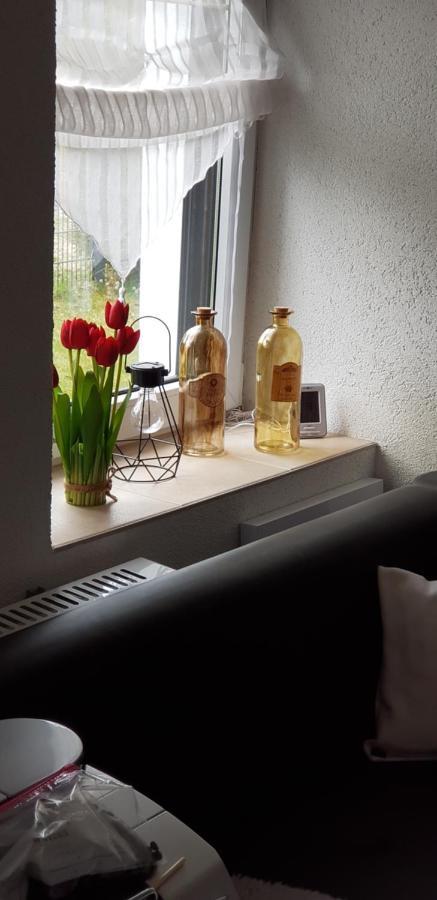 Ferienhaus Kuehnhaide Im Erzgebirge Kuhnhaide Extérieur photo